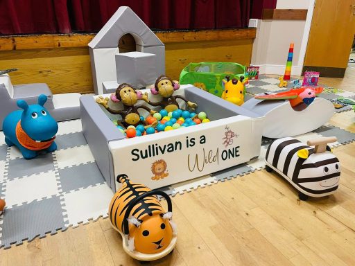 Wild One themed soft play setup with custom vinyl, animal hoppers, ride-on toys, inflatable jungle animals, and jungle-themed sensory toys.